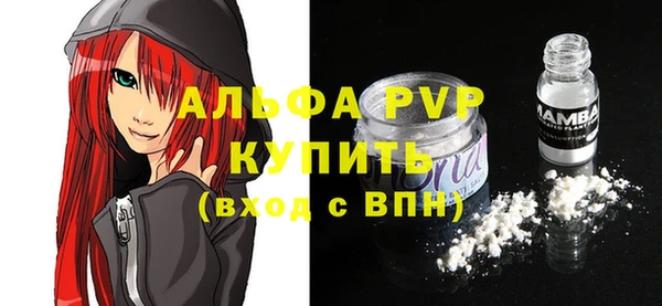 индика Лабытнанги
