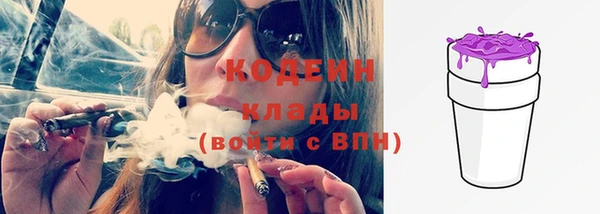 индика Лабытнанги