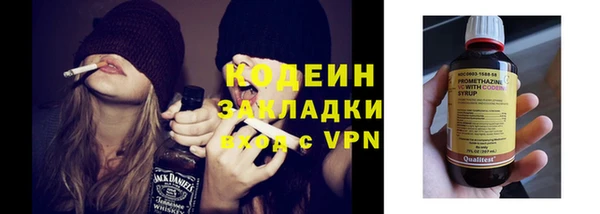 индика Лабытнанги