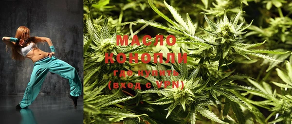 индика Лабытнанги