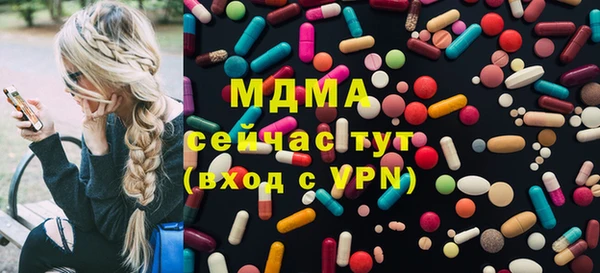 индика Лабытнанги