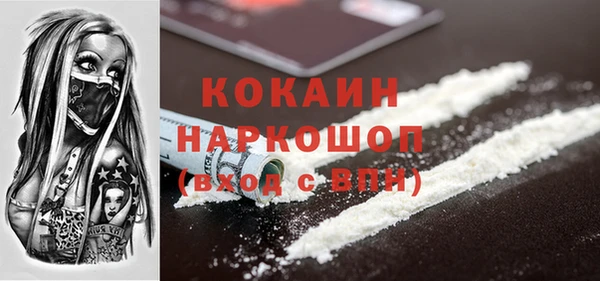 индика Лабытнанги