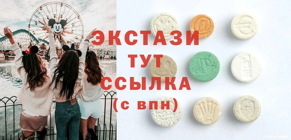индика Лабытнанги