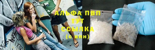 индика Лабытнанги