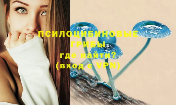 героин Лагань