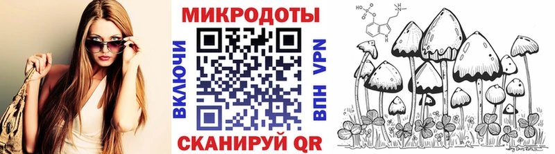 дарк нет официальный сайт Таруса Псилоцибиновые грибы GOLDEN TEACHER ссылка на мегу вход